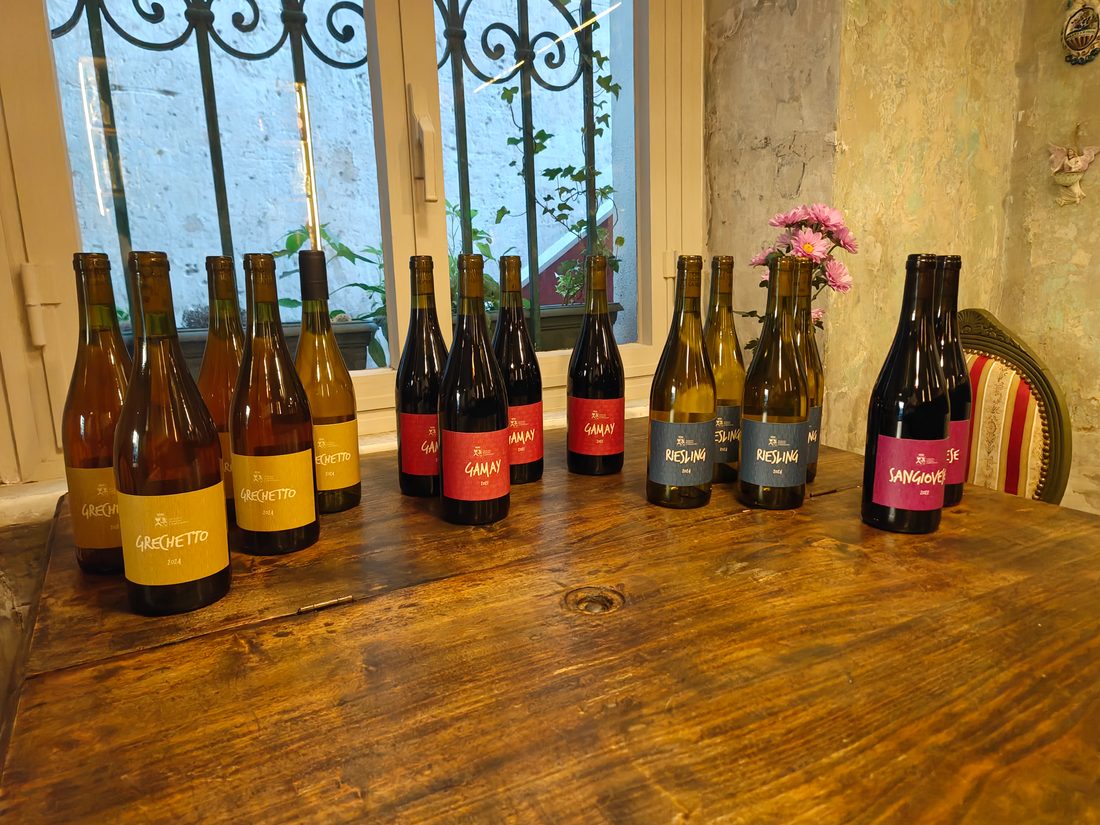Bottiglie di vini naturali e biodinamici